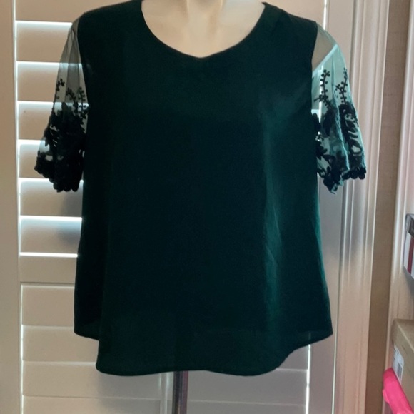 Kaii Elegant Black Blouse with Sheer Embroidered Sleeves - Picture 1 of 8